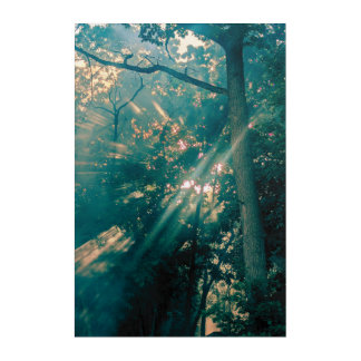 Fairies in a Forest Acrylic Print