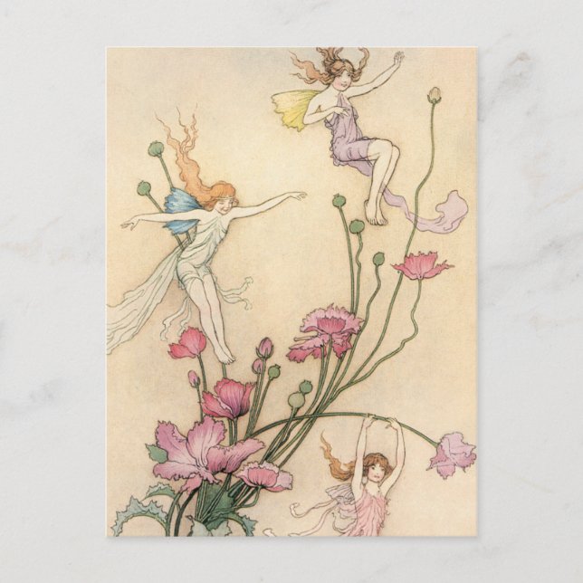 Fairies Jumping on Flowers Postcard (Front)