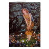 Fairies on a Midsummer Night in Girls Dream (Front)