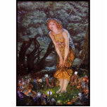 Fairies on a Midsummer Night in Girls Dream Cutout<br><div class="desc">The forest floor hummed with an unseen energy. Moonlight, strained through gnarled branches, dappled the damp earth in a mosaic of light and shadow. In this silent cathedral stood Elara, her golden gown a stark contrast to the surrounding darkness. The fabric shimmered with an otherworldly sheen, catching the playful dance...</div>