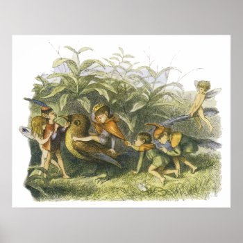 Fairies Playing With Robin Print By Richard Doyle by FaerieRita at Zazzle