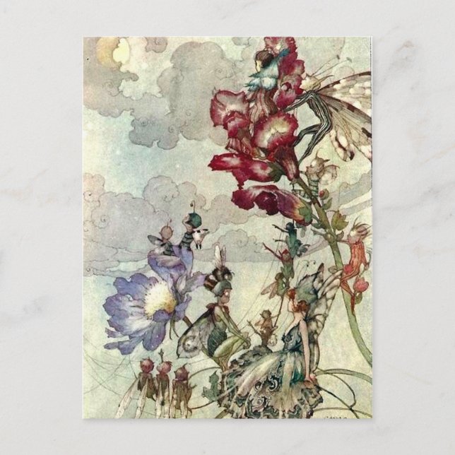 “Fairies” Postcard (Front)