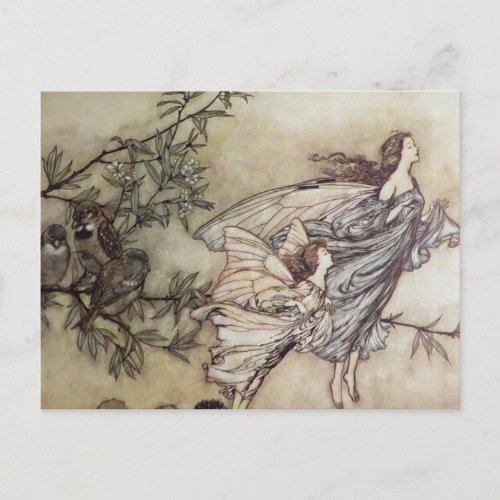 Fairies Tiff with the Birds by Arthur Rackham Postcard