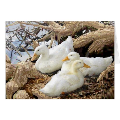 Fairmount Park Duck Family Greeting Card