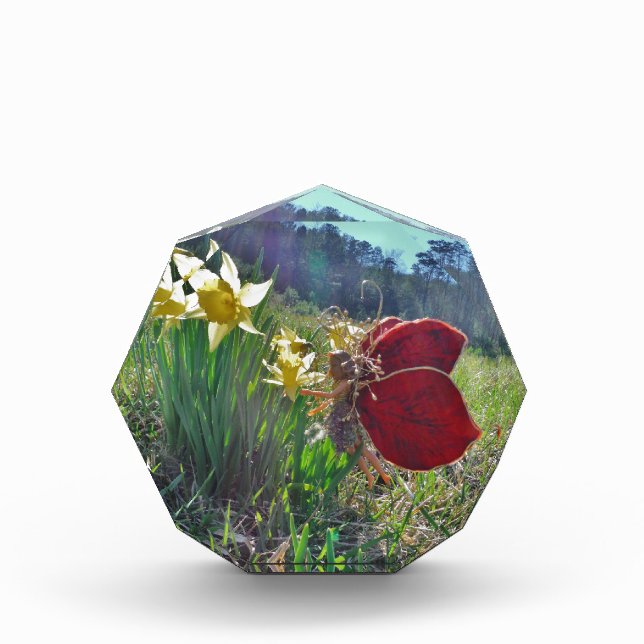 Fairy and yellow flowers acrylic award (Front)