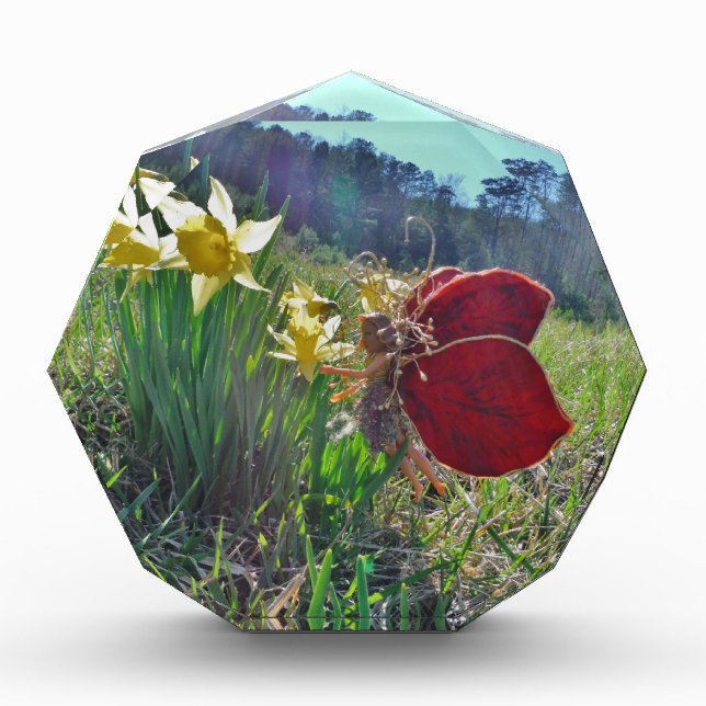 Fairy and yellow flowers award (Front)