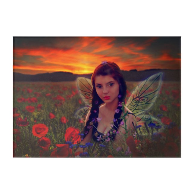 Fairy at Sunset in a field of poppies Fantasy Art (Front)