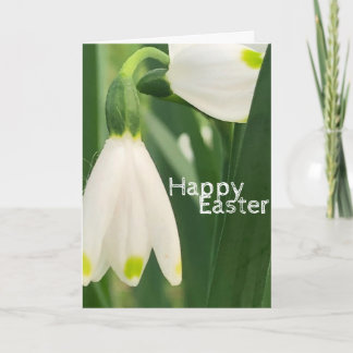 Fairy Bells 1 - Folded Greeting Card