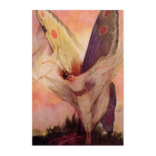 Fairy Butterfly by Frank Schoonover Fine Art