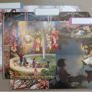 Fairy Dust Tricolor File Folders