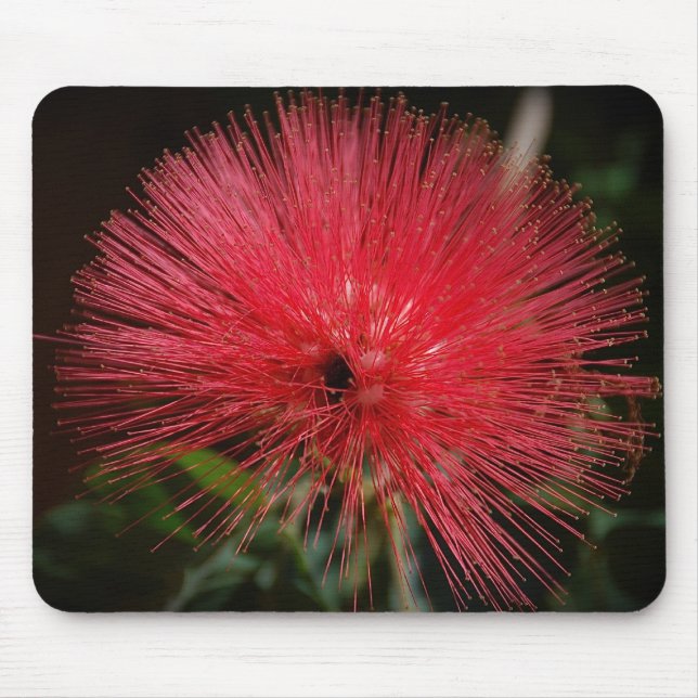 Fairy Duster Mousepad (Front)