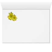 Fairy Euphoria (Inside Horizontal (Bottom))