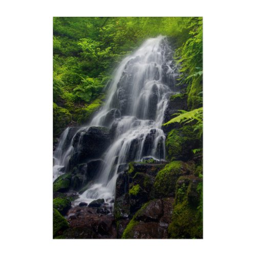 Fairy Falls  Colombia River Gorge Oregon Acrylic Print