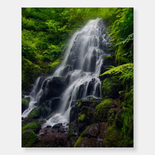 Fairy Falls  Colombia River Gorge Oregon Foam Board