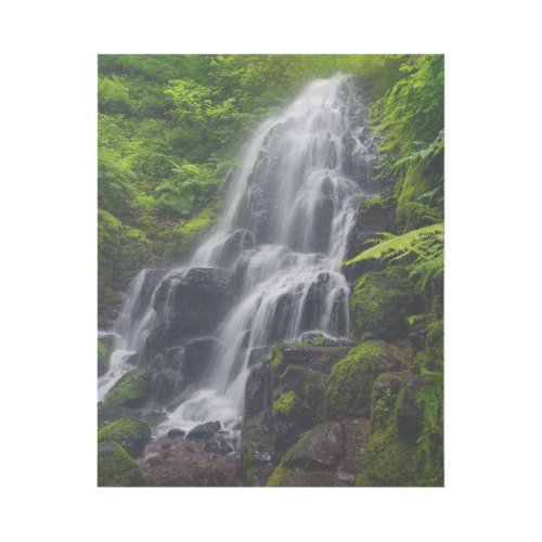 Fairy Falls  Colombia River Gorge Oregon Gallery Wrap