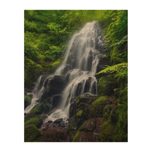 Fairy Falls  Colombia River Gorge Oregon Wood Wall Art