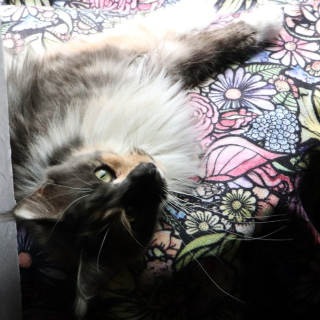 Fairy Garden Gardening Fleece Blanket (Creator Uploaded)