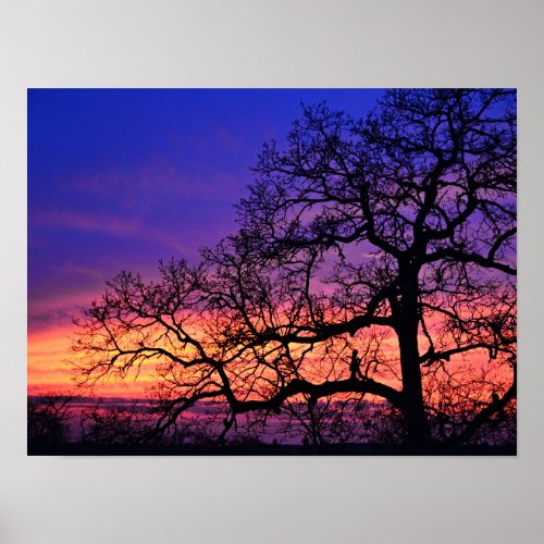 Fairy Girl Silhouetted Tree Sunset Poster