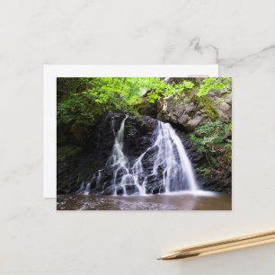 Fairy Glen waterfall, Rosemarkie Postcard