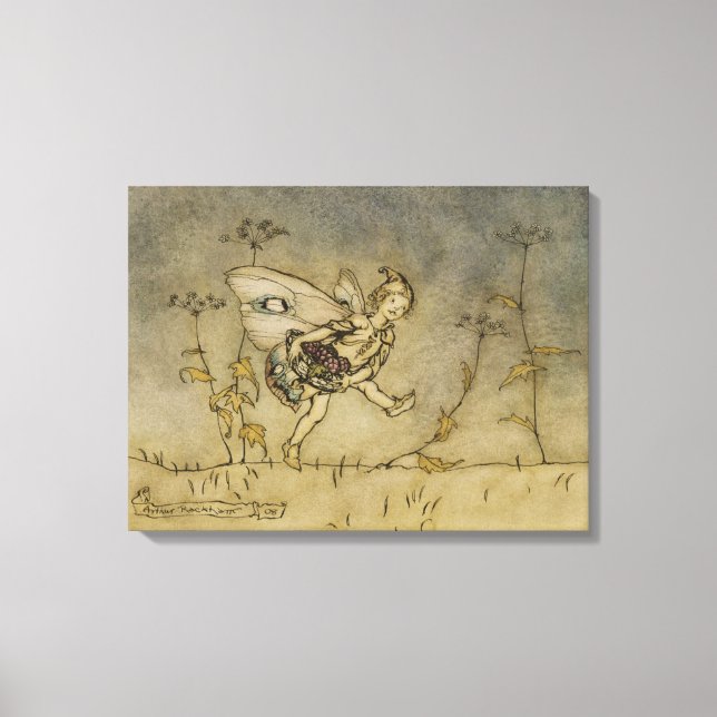 Fairy, illustration from 'A Midsummer Night's Drea Canvas Print (Front)
