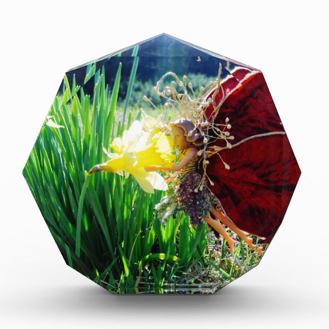 Fairy in the Daffodils Award (Front)