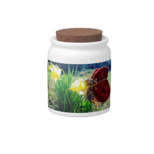 Fairy in the Daffodils Candy Jar