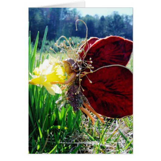 Fairy in the Daffodils Cards (Front)