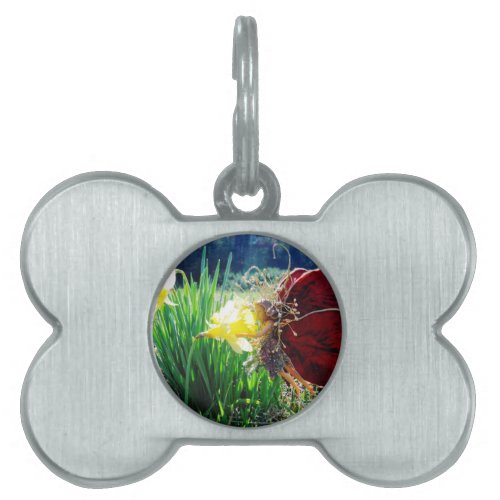 Fairy in the Daffodils Pet ID Tag