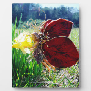 Fairy in the Daffodils Plaque