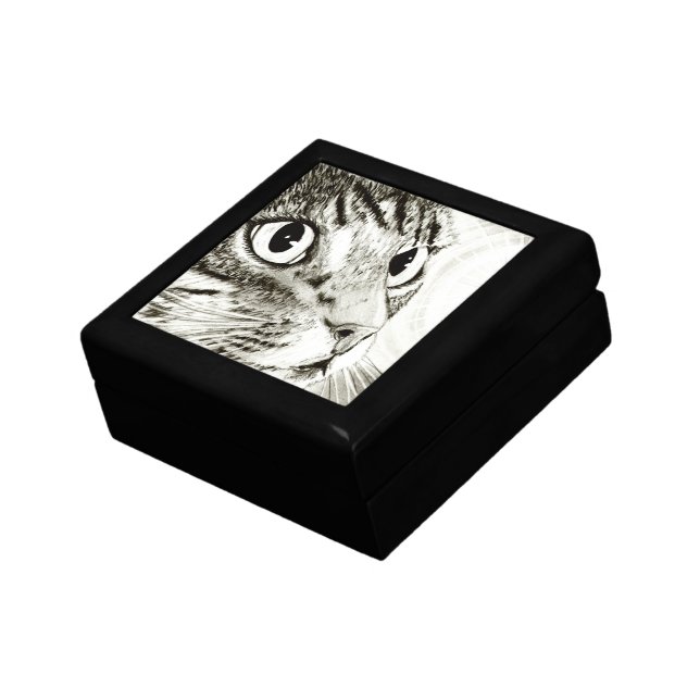 Fairy Light Tabby Cat Fantasy Art Gift Box (Side)