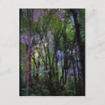 Fairy Lights Surreal Forest Postcard