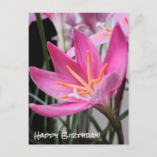 Fairy Lily Birthday Wishes Postcard