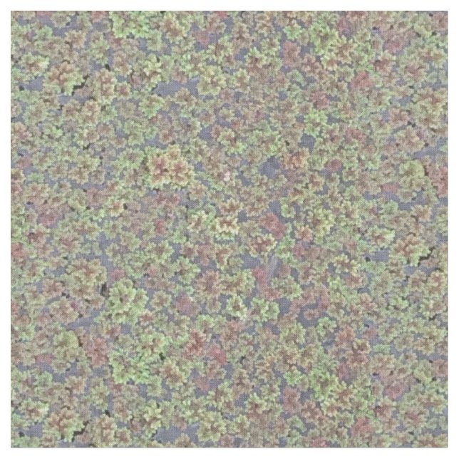 Fairy Moss Fabric (Close Up)