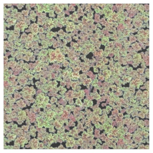 Fairy Moss - V2 Fabric