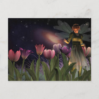 Fairy night Postcard