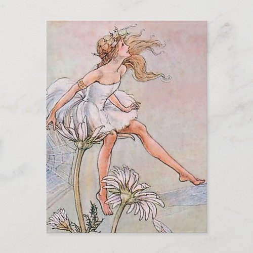 Fairy on a Flower by Florence Anderson Postcard
