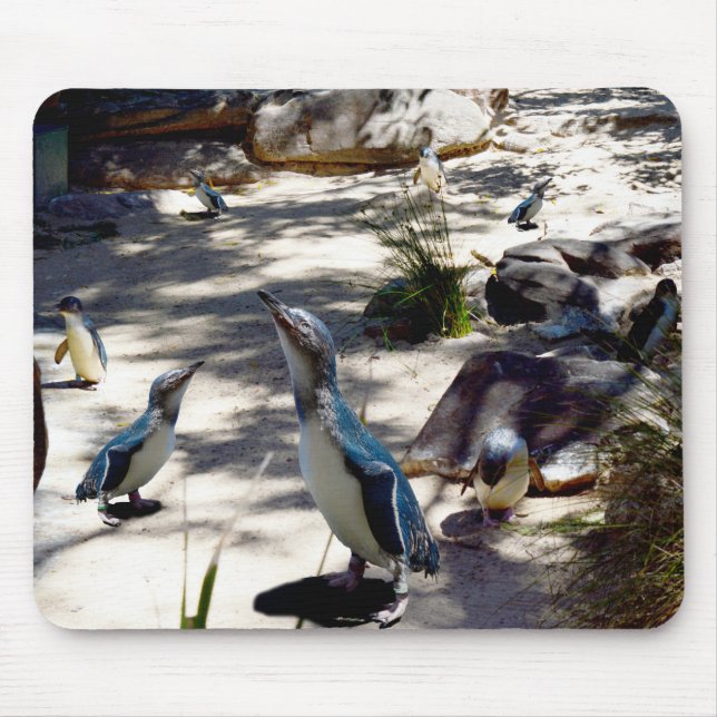 Fairy Penguin Paradise, Mouse Pad (Front)