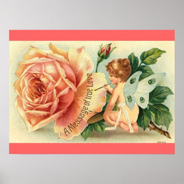 Fairy rose poster (Front)