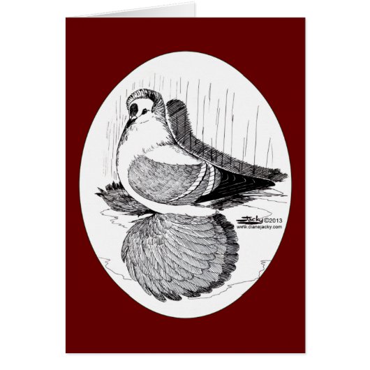 Fairy Swallow Pigeon 1978 Cards (Front)