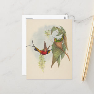 Fairy Topaz John Gould Postcard
