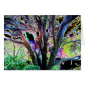 Fairy Tree (Front Horizontal)