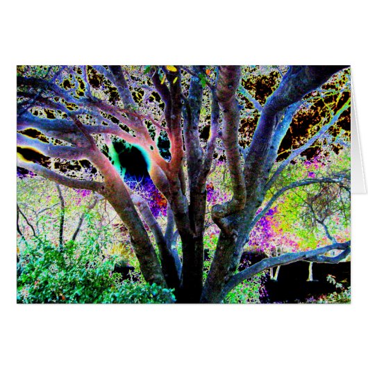 Fairy Tree Cards (Front Horizontal)