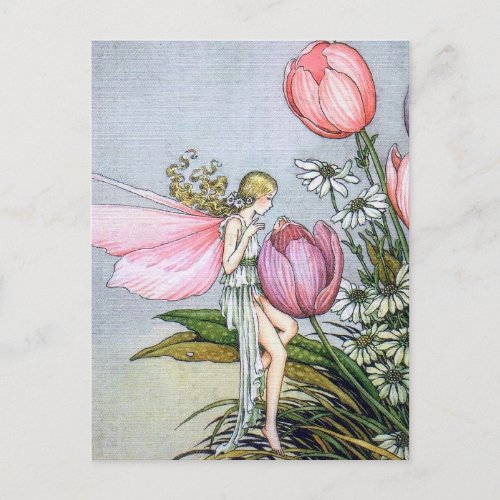 Fairy Tulips Vintage Illustration Postcard