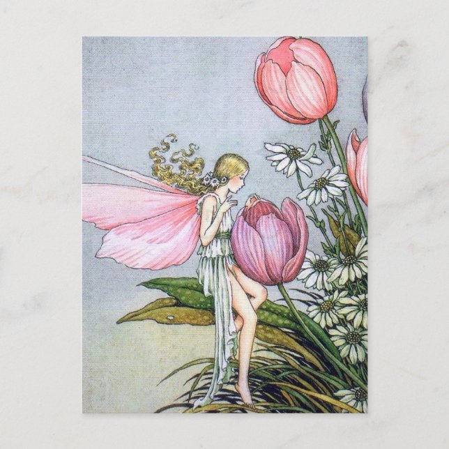 Fairy Tulips Vintage Illustration Postcard (Front)