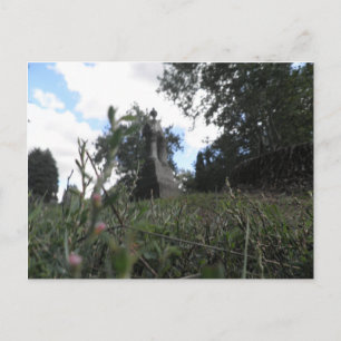 Fairy View Postcard