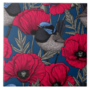 https://rlv.zcache.com/fairy_wren_and_poppies_ceramic_tile-ra58a8dbd18824735991c4ec1093e4e6c_agtbm_8byvr_307.jpg