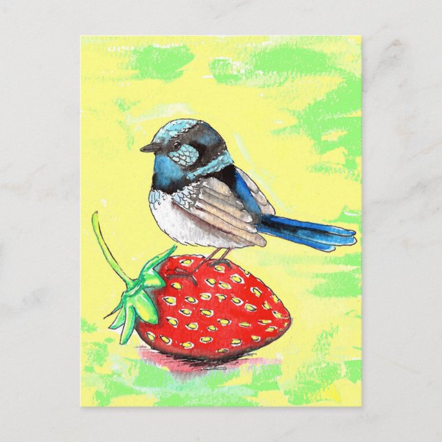 Fairy Wren Painting Postcard (Front)