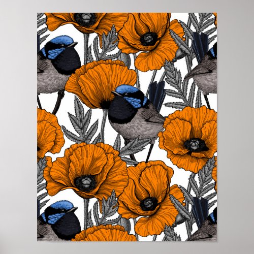Fairy wrens and orange poppy flowers 2 poster