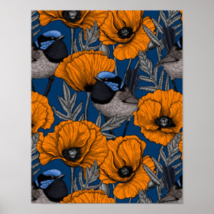 Fairy wrens and orange poppy flowers poster