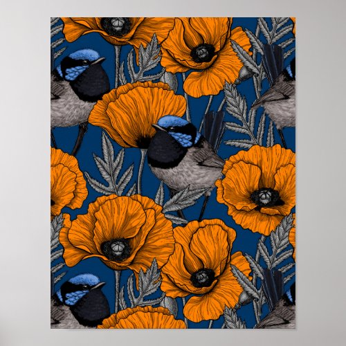 Fairy wrens and orange poppy flowers poster